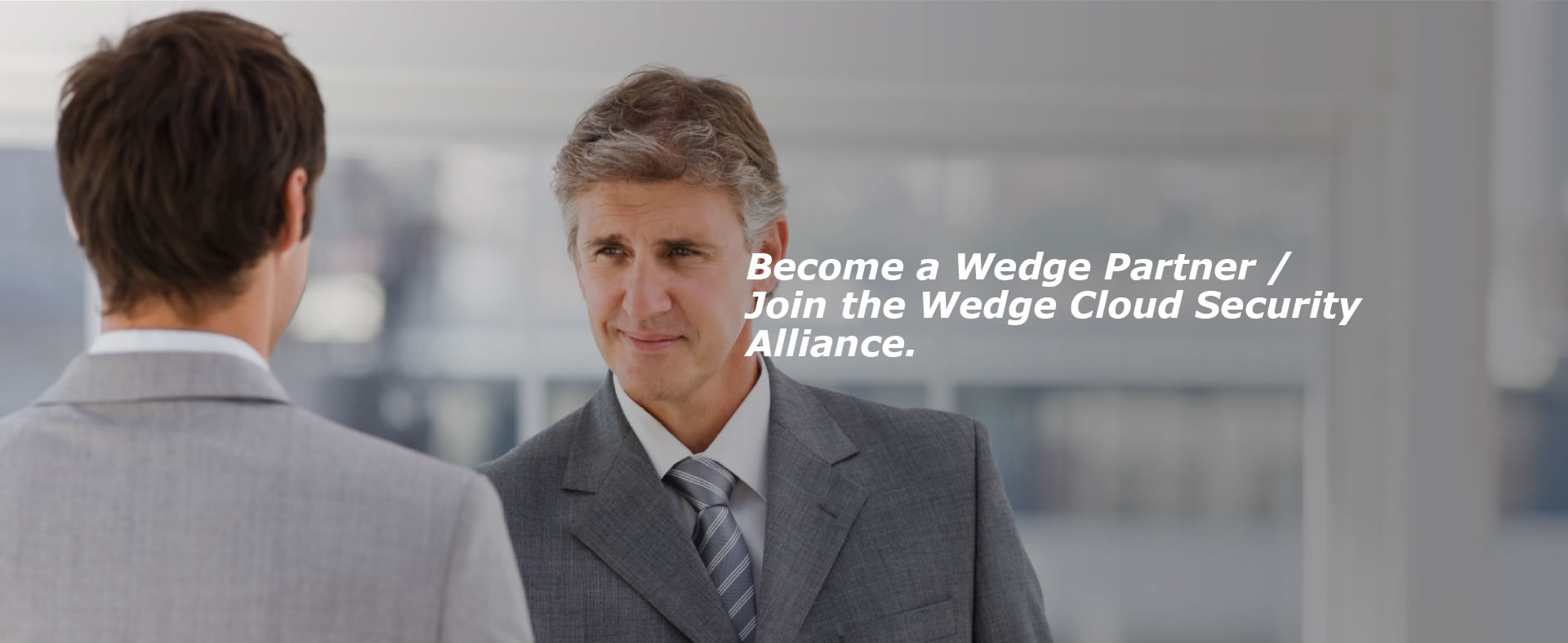 wedgenetworks-partners